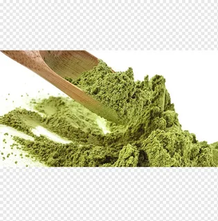 قیمت شامپو سدر